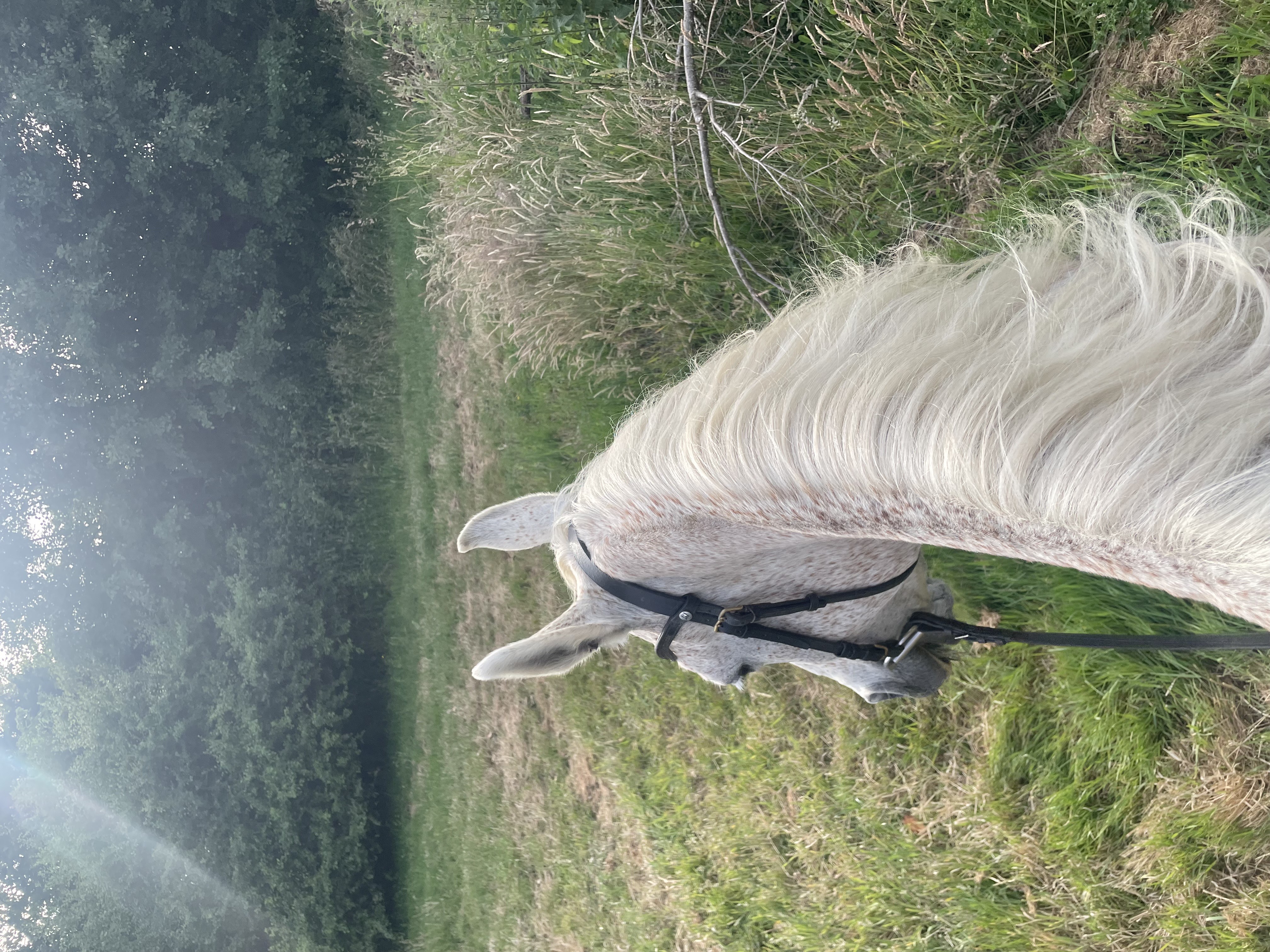 Le leçon de maître Abir.